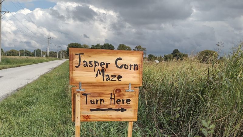 Corn Maze